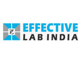 Effective Lab India