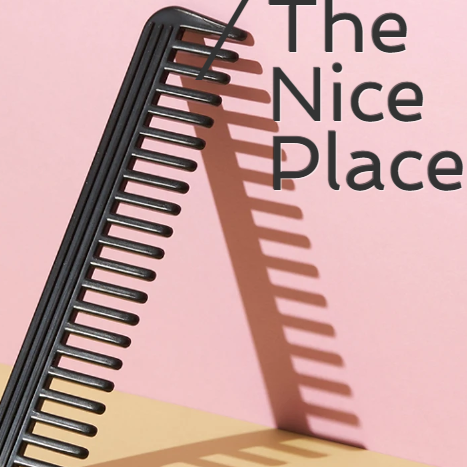 The Nice  Place